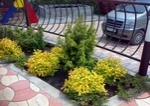 Новые работы - 2008